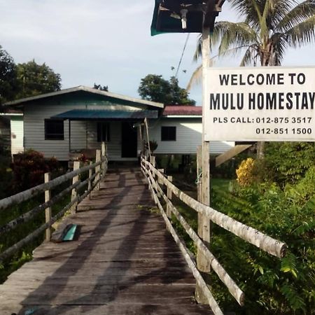 Mulu Homestay Экстерьер фото