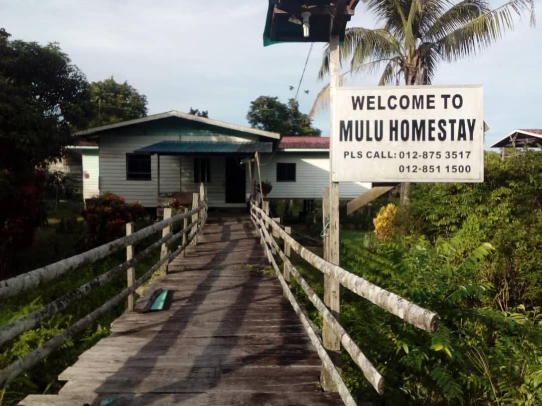 Mulu Homestay Экстерьер фото