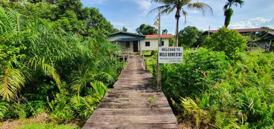 Mulu Homestay Экстерьер фото