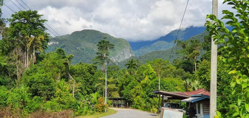 Mulu Homestay Экстерьер фото