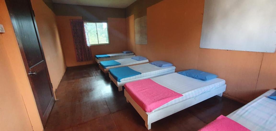 Mulu Homestay Экстерьер фото