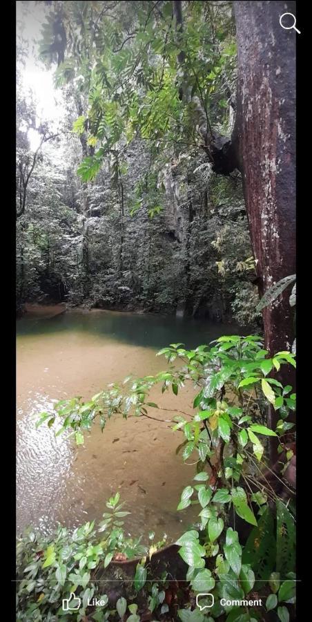 Mulu Homestay Экстерьер фото