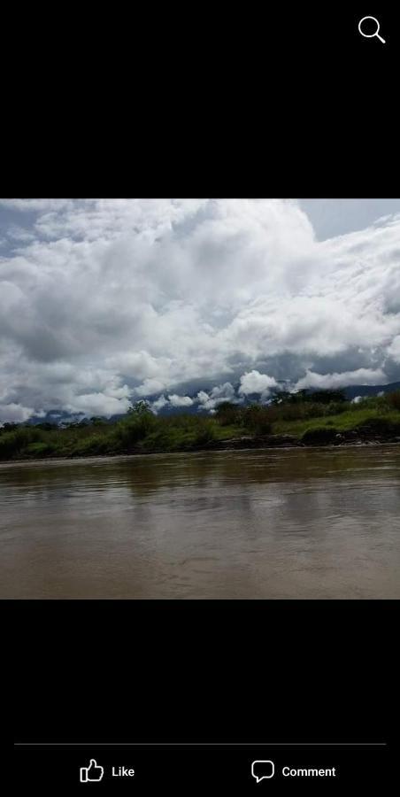 Mulu Homestay Экстерьер фото